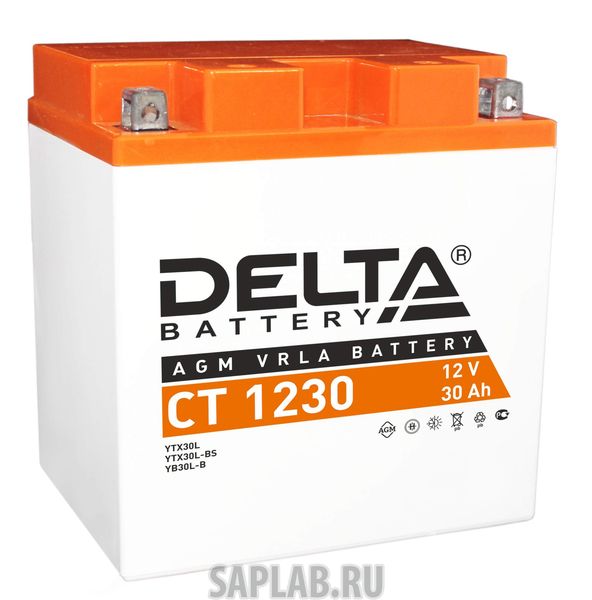 Купить DELTA СТ1230 Аккумулятор Delta СТ 1230 12В 30Ач 300CCA 168x126x175 мм Обратная (-+)