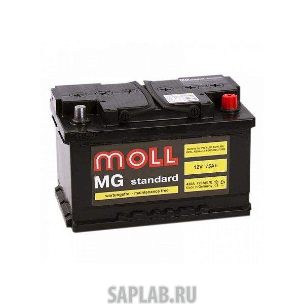 Купить MOLL 75SR720A Аккумулятор MOLL MG Standard 75 SR 720A 278x175x175