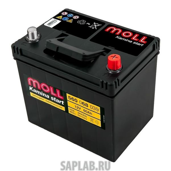 Купить MOLL KAMINA60JR Аккумулятор MOLL Kamina 60JR 556