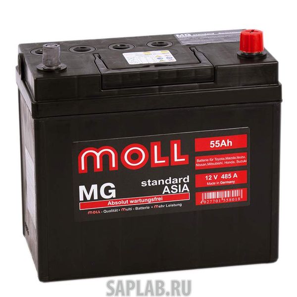 Купить MOLL MG55JR Аккумулятор MOLL MG 55JR 586