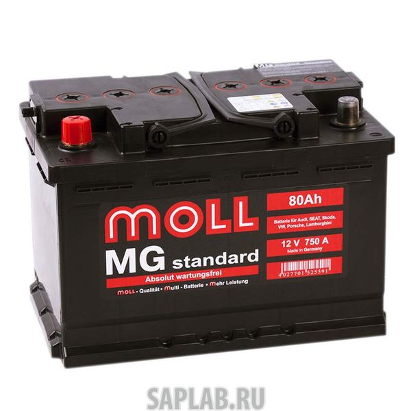 Купить MOLL MG80L Аккумулятор MOLL MG 80L 617