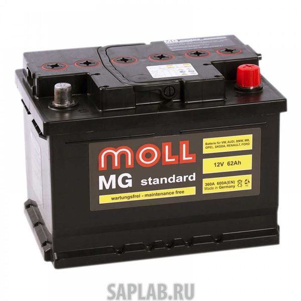 Купить MOLL MGSTANDARD62R Аккумулятор MOLL MG Standard 62R 600A 242x175x190
