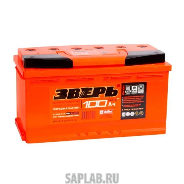 Купить ЗВЕРЬ 100L900A Аккумулятор ЗВЕРЬ 100L 900A 353x175x190