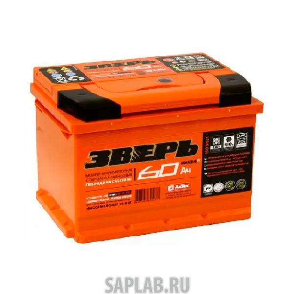 Купить ЗВЕРЬ 6СТ600 Аккумулятор ЗВЕРЬ 60 А/ч обратная R+ EN 650A 242x175x190 6СТ-60 LЗУ (R) 6СТ-60.0
