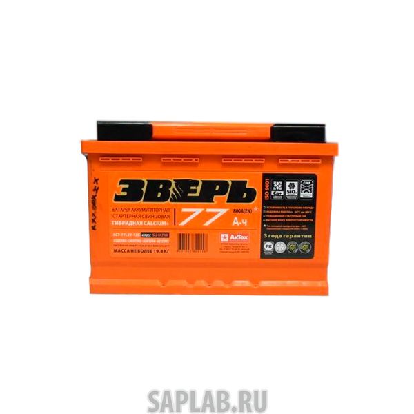 Купить ЗВЕРЬ 6СТ771 Аккумулятор ЗВЕРЬ 77 А/ч прямая L+ EN 800A 278x175x190 6СТ-77 LЗУ 6СТ-77.1