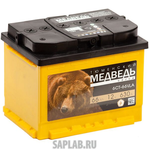 Купить ТЮМЕНСКИЙ_МЕДВЕДЬ 6СТ661 Аккумулятор легковой 