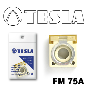 Купить Tesla FM75A Предохранитель компактный FM  75A
