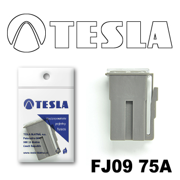 Купить Tesla FJ0975A Предохранитель картриджного типа FJ09 75А